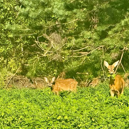 Вілла Pikadi By The Baltic Sea