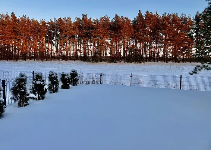 Pikadi By The Baltic Sea Вілла Паланга