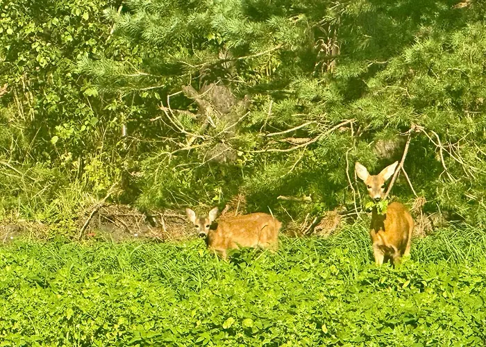 Вілла Pikadi By The Baltic Sea
