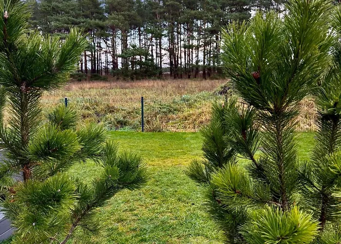 Вілла Pikadi By The Baltic Sea Паланга